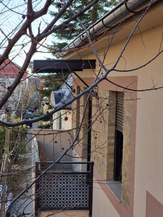 As Apartman 2 Vrsac Exterior foto